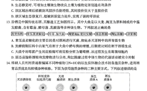生物试题-26年太原高考二模_2024-2026高三（6-6月题库）_2026年04月高三试卷_260425山西省太原市2026年高三年级二模（太原二模）（全科）