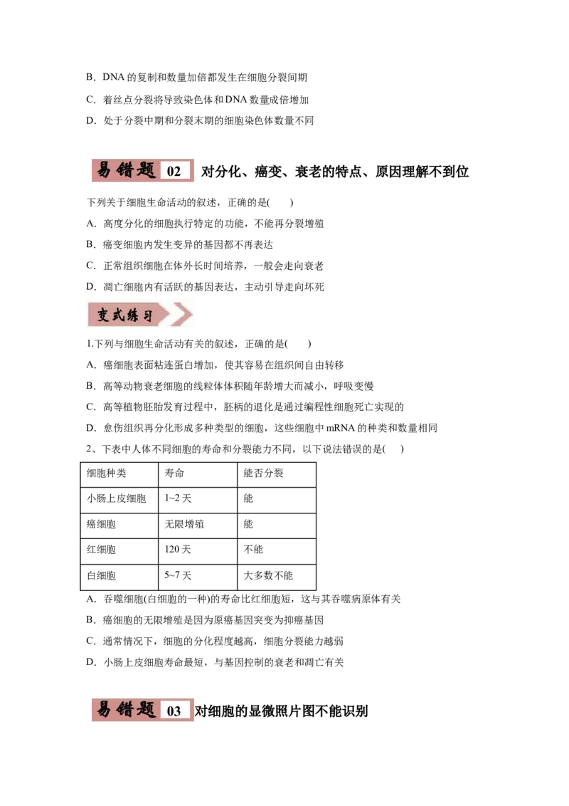 易错点04细胞的生命历程-2021年高考生物一轮复习易错题（学生版）_新高考复习资料_2023年新高考复习资料_一轮复习_2023年新高考大一轮复习讲义_赠2021年高考生物一轮复习易错题