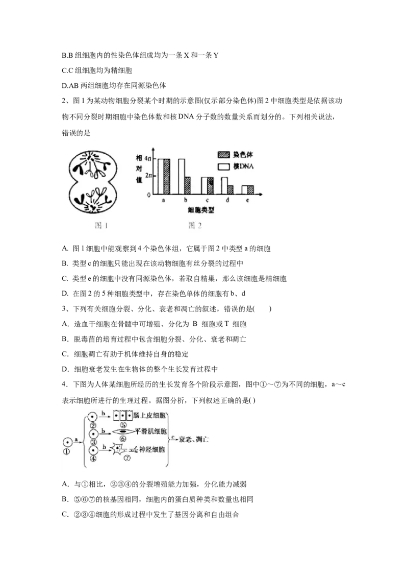 易错点04细胞的生命历程-2021年高考生物一轮复习易错题（学生版）_新高考复习资料_2023年新高考复习资料_一轮复习_2023年新高考大一轮复习讲义_赠2021年高考生物一轮复习易错题