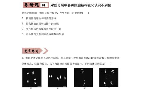 易错点04细胞的生命历程-2021年高考生物一轮复习易错题（学生版）_新高考复习资料_2023年新高考复习资料_一轮复习_2023年新高考大一轮复习讲义_赠2021年高考生物一轮复习易错题