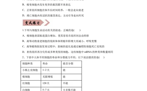 易错点04细胞的生命历程-2021年高考生物一轮复习易错题（学生版）_新高考复习资料_2023年新高考复习资料_一轮复习_2023年新高考大一轮复习讲义_赠2021年高考生物一轮复习易错题