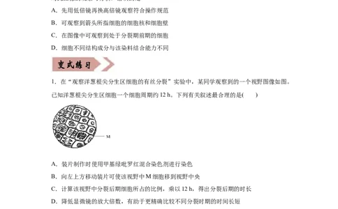 易错点04细胞的生命历程-2021年高考生物一轮复习易错题（学生版）_新高考复习资料_2023年新高考复习资料_一轮复习_2023年新高考大一轮复习讲义_赠2021年高考生物一轮复习易错题