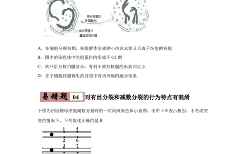 易错点04细胞的生命历程-2021年高考生物一轮复习易错题（学生版）_新高考复习资料_2023年新高考复习资料_一轮复习_2023年新高考大一轮复习讲义_赠2021年高考生物一轮复习易错题