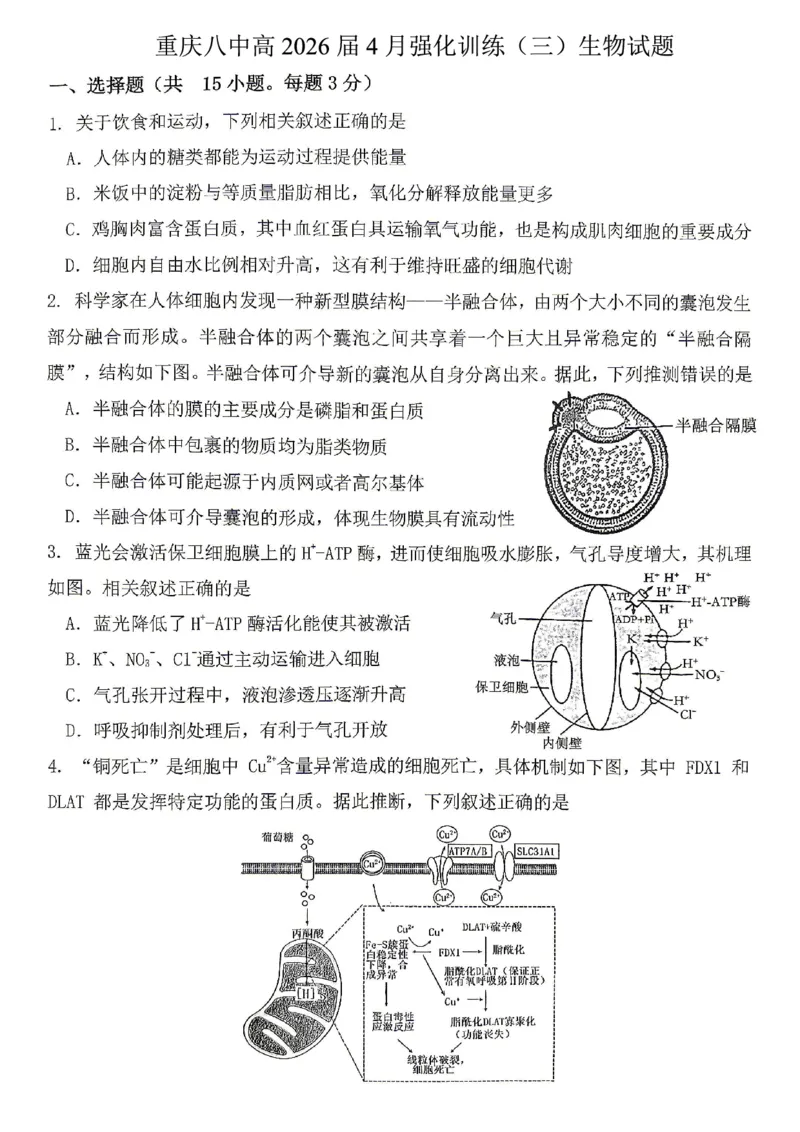 生物试题卷_2024-2026高三（6-6月题库）_2026年04月高三试卷_260428重庆市重庆八中高2026届4月强化训练（三）（全科）