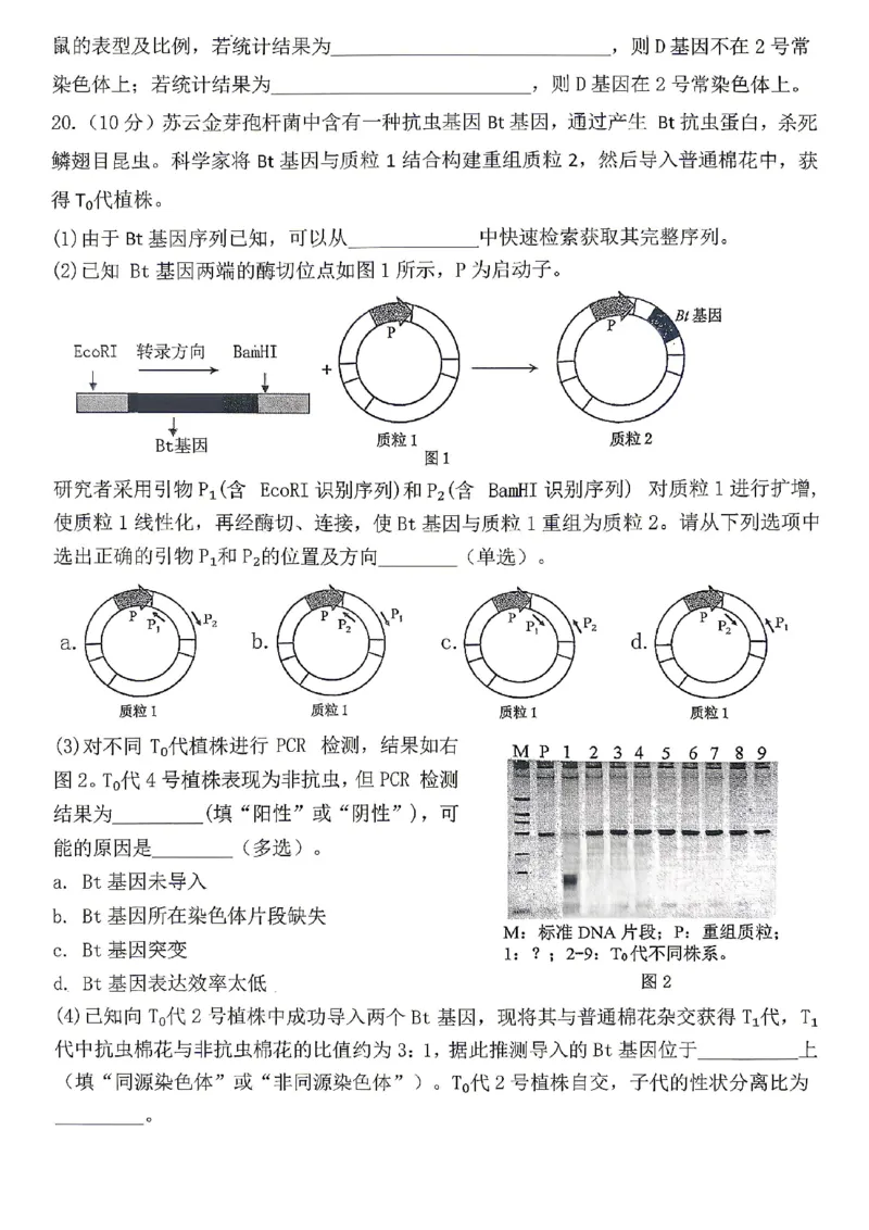 生物试题卷_2024-2026高三（6-6月题库）_2026年04月高三试卷_260428重庆市重庆八中高2026届4月强化训练（三）（全科）