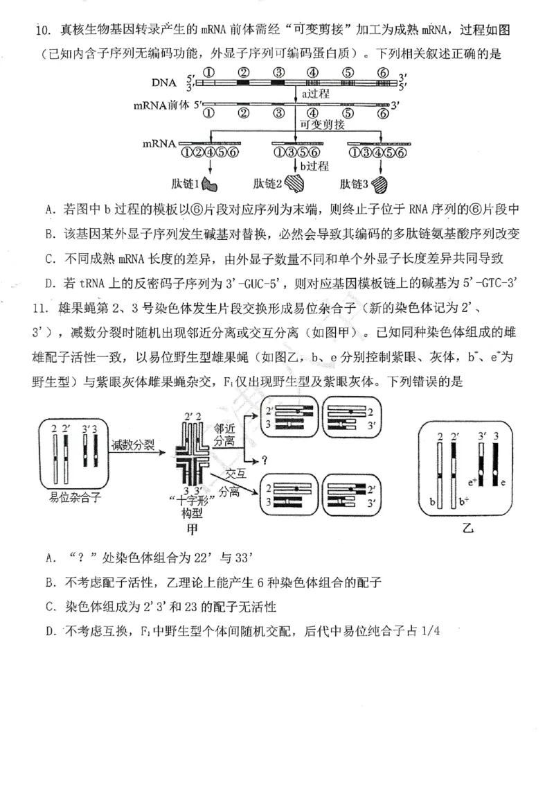 生物试题卷_2024-2026高三（6-6月题库）_2026年04月高三试卷_260428重庆市重庆八中高2026届4月强化训练（三）（全科）
