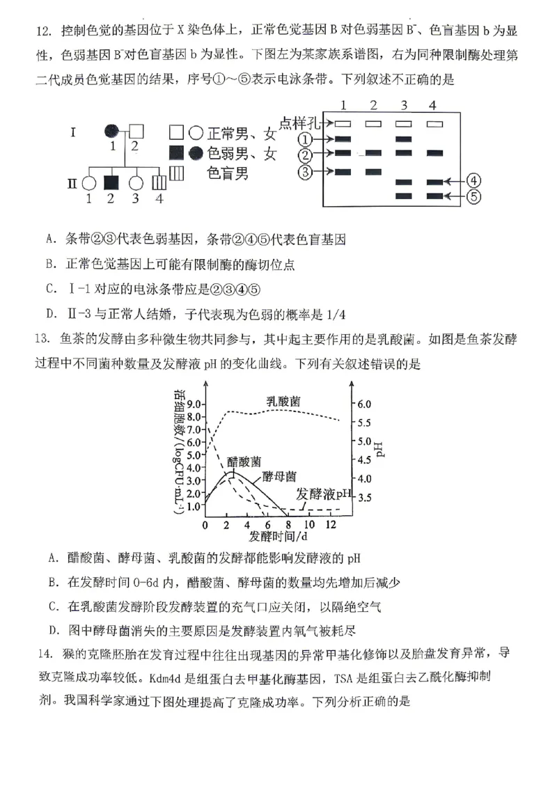 生物试题卷_2024-2026高三（6-6月题库）_2026年04月高三试卷_260428重庆市重庆八中高2026届4月强化训练（三）（全科）