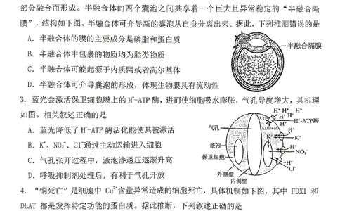 生物试题卷_2024-2026高三（6-6月题库）_2026年04月高三试卷_260428重庆市重庆八中高2026届4月强化训练（三）（全科）