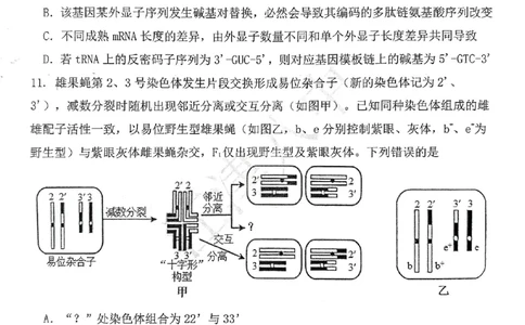生物试题卷_2024-2026高三（6-6月题库）_2026年04月高三试卷_260428重庆市重庆八中高2026届4月强化训练（三）（全科）