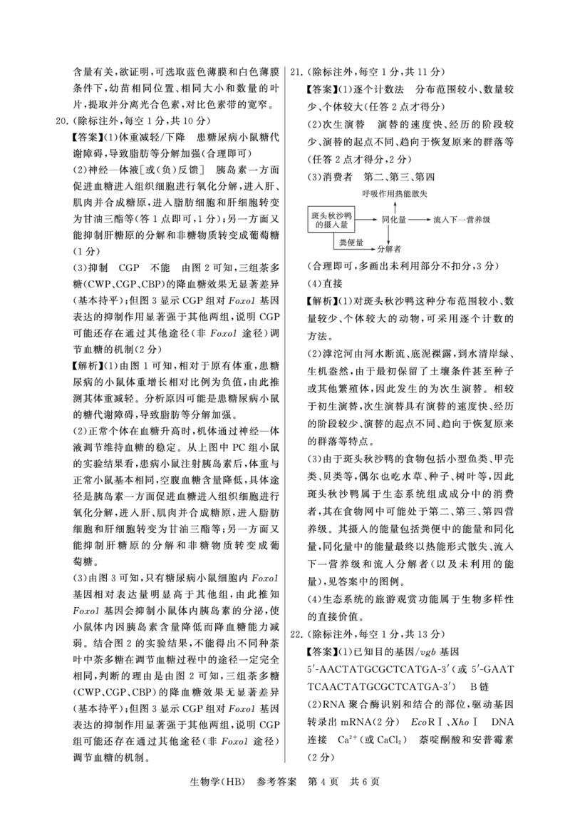 八省T8联考2026届高三年级四月阶段练习生物(HB)答案_2024-2026高三（6-6月题库）_2026年04月高三试卷_2604112026届八省八校T8联考高三下学期4月联合测评（全科）