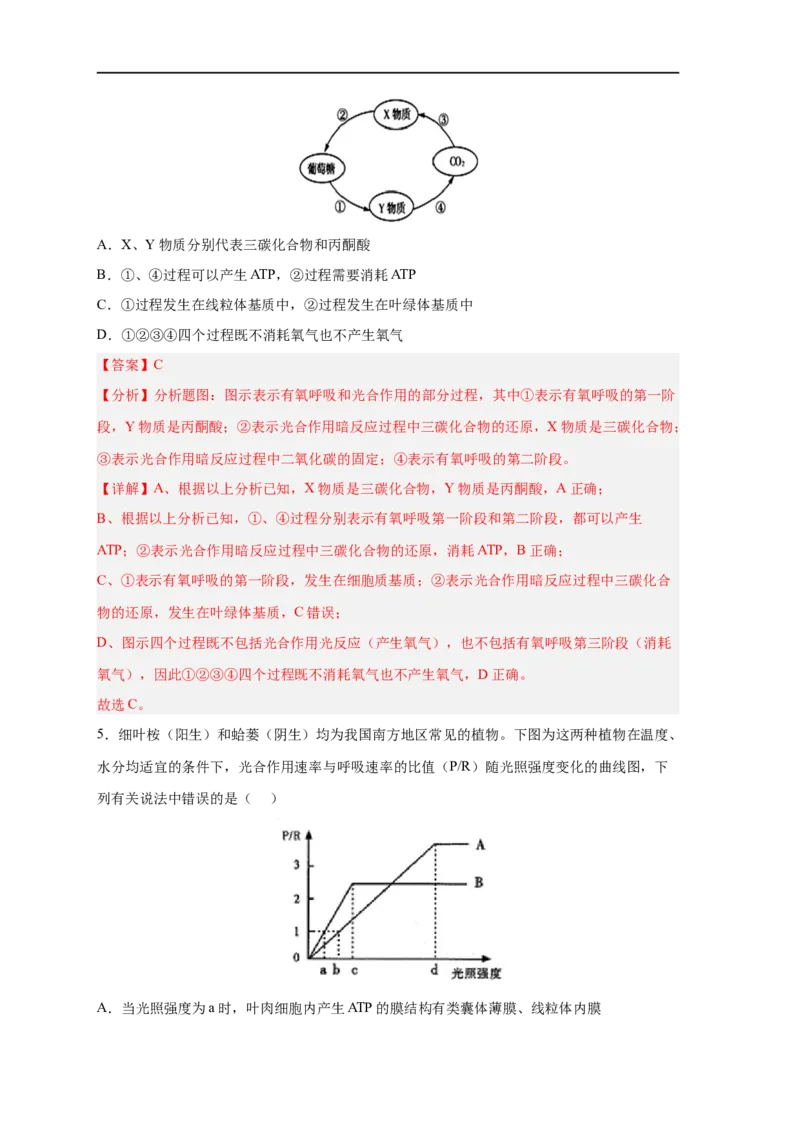 易错点09光合作用与呼吸作用-备战2023年高考生物考试易错题（新教材新高考）（解析版）_新高考复习资料_2023年新高考复习资料_专项复习_备战2023年高考生物考试易错题（新教材新高考）