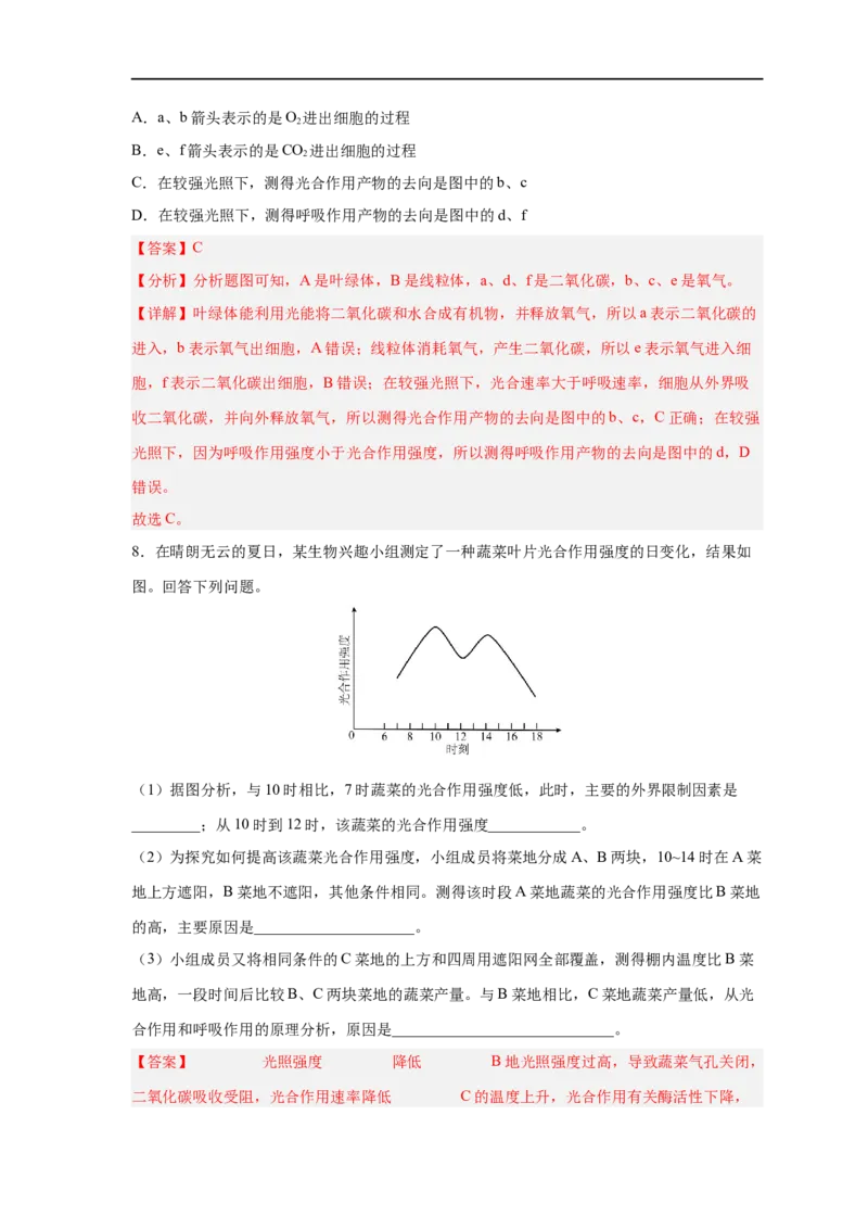 易错点09光合作用与呼吸作用-备战2023年高考生物考试易错题（新教材新高考）（解析版）_新高考复习资料_2023年新高考复习资料_专项复习_备战2023年高考生物考试易错题（新教材新高考）