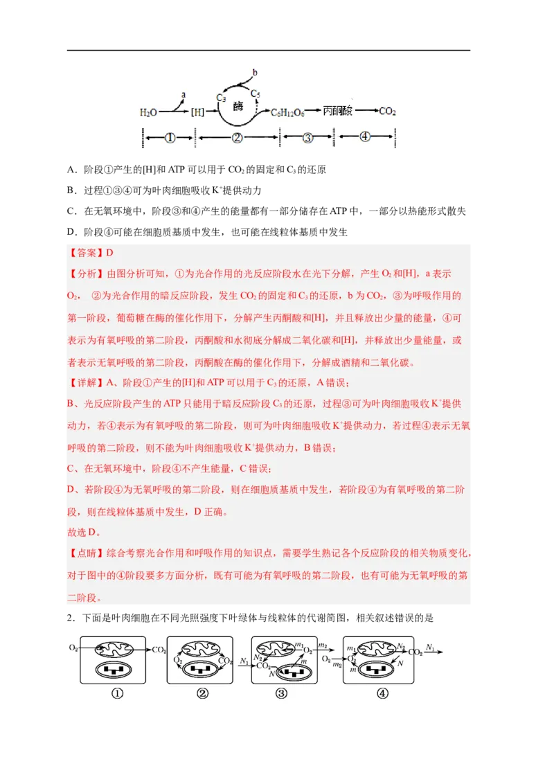 易错点09光合作用与呼吸作用-备战2023年高考生物考试易错题（新教材新高考）（解析版）_新高考复习资料_2023年新高考复习资料_专项复习_备战2023年高考生物考试易错题（新教材新高考）
