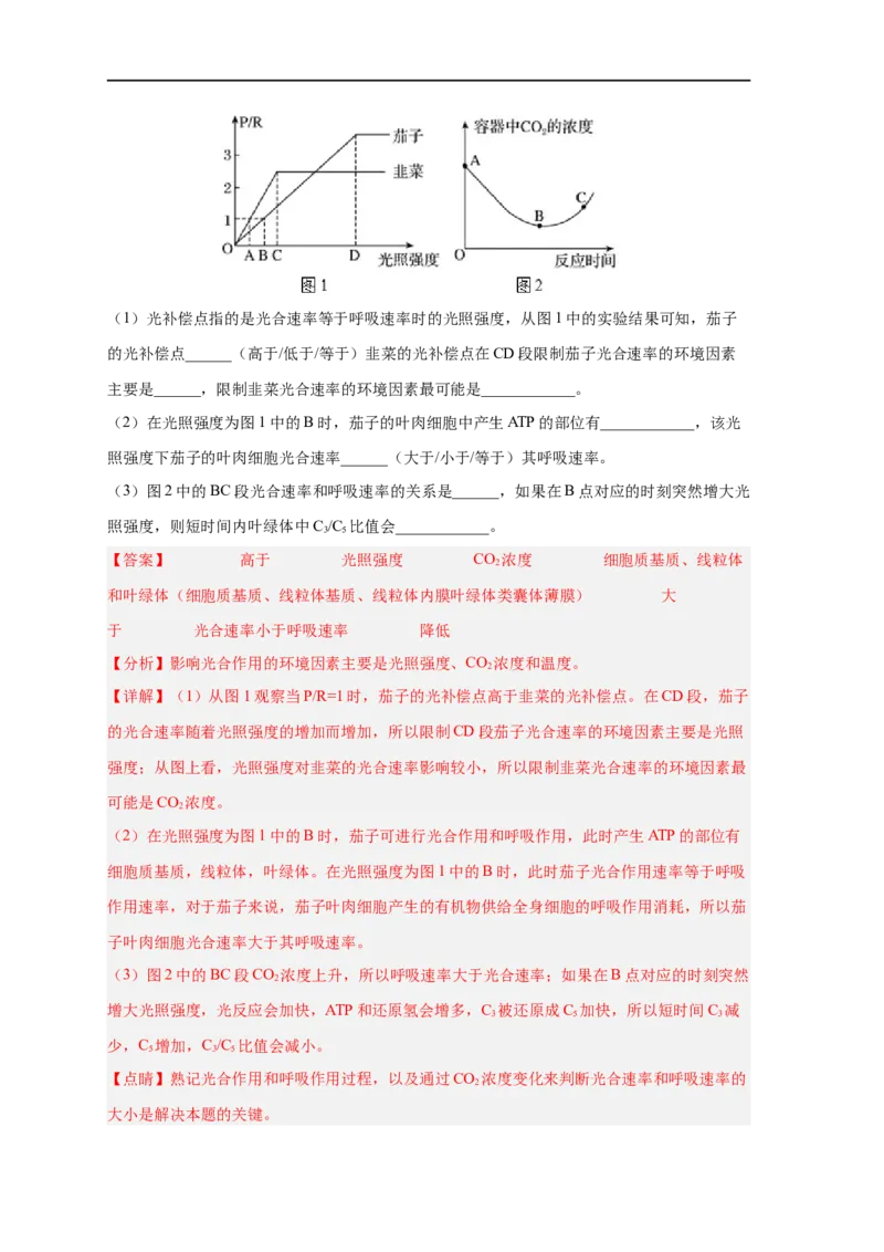 易错点09光合作用与呼吸作用-备战2023年高考生物考试易错题（新教材新高考）（解析版）_新高考复习资料_2023年新高考复习资料_专项复习_备战2023年高考生物考试易错题（新教材新高考）