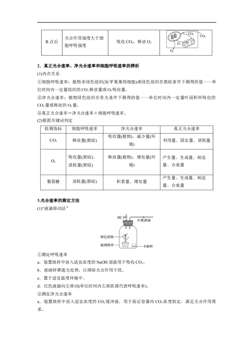 易错点09光合作用与呼吸作用-备战2023年高考生物考试易错题（新教材新高考）（解析版）_新高考复习资料_2023年新高考复习资料_专项复习_备战2023年高考生物考试易错题（新教材新高考）