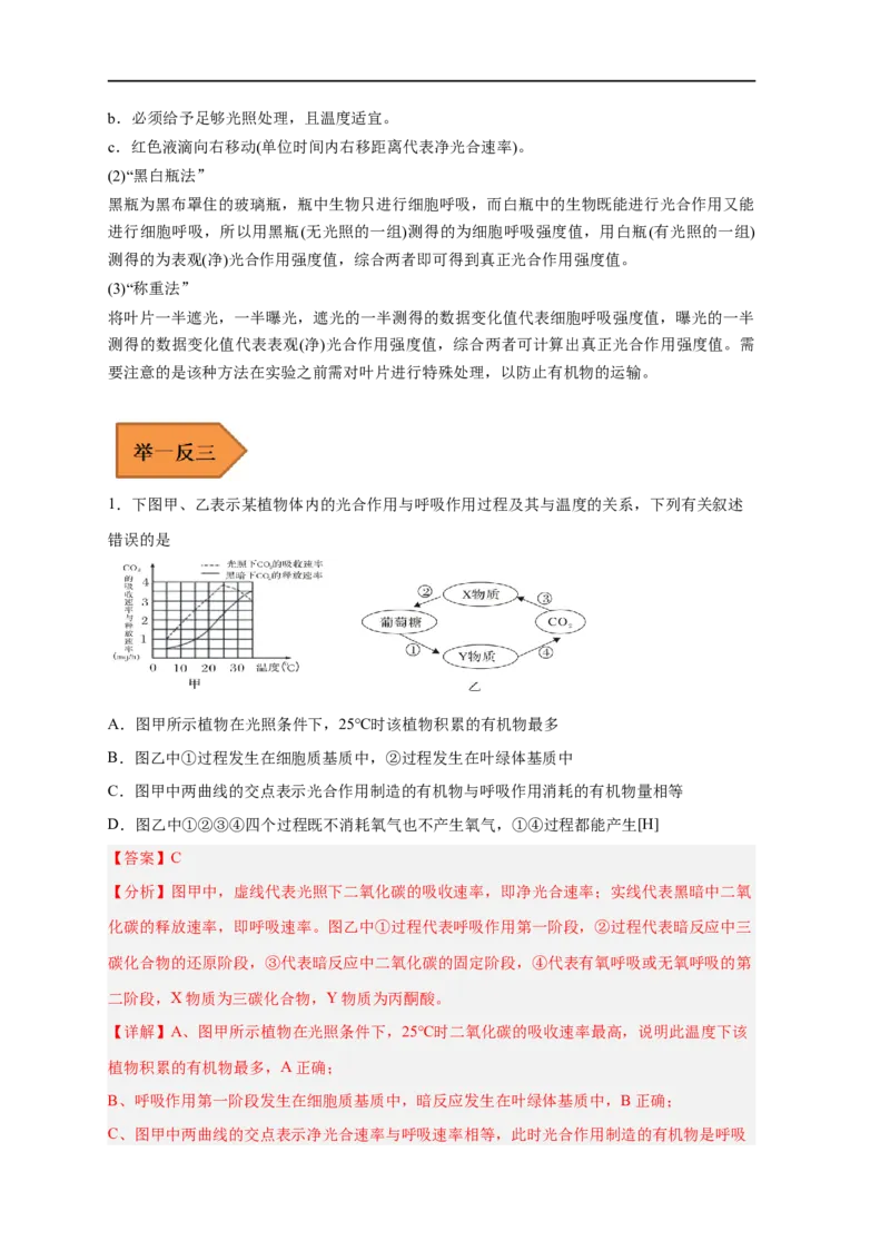 易错点09光合作用与呼吸作用-备战2023年高考生物考试易错题（新教材新高考）（解析版）_新高考复习资料_2023年新高考复习资料_专项复习_备战2023年高考生物考试易错题（新教材新高考）