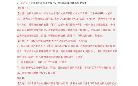 易错点09光合作用与呼吸作用-备战2023年高考生物考试易错题（新教材新高考）（解析版）_新高考复习资料_2023年新高考复习资料_专项复习_备战2023年高考生物考试易错题（新教材新高考）
