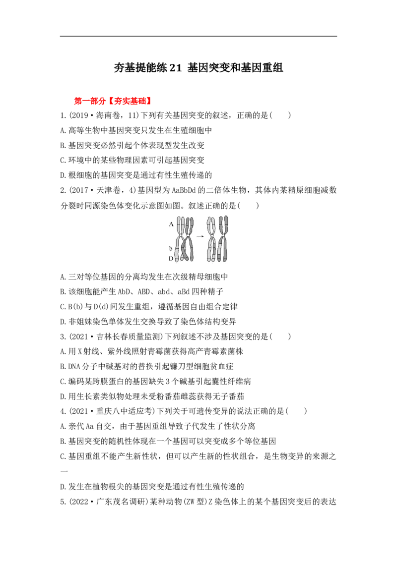 夯基提能练21基因突变和基因重组-备战2023高考生物一轮复习夯基提能练（全国通用）（原卷版）_通用版（老高考）复习资料_2023年复习资料_一轮复习