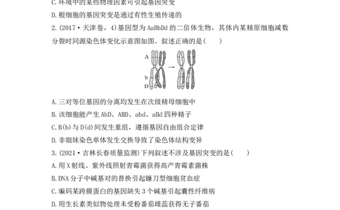 夯基提能练21基因突变和基因重组-备战2023高考生物一轮复习夯基提能练（全国通用）（原卷版）_通用版（老高考）复习资料_2023年复习资料_一轮复习