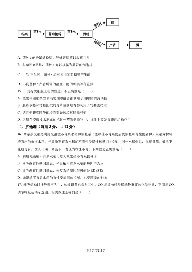 精品解析：2026届江苏省南京市六合区名校联盟高三一模生物试题（原卷版）_2024-2026高三（6-6月题库）_2026年03月高三试卷_2603042026届江苏南京市六合区名校联盟高三下学期一模试题