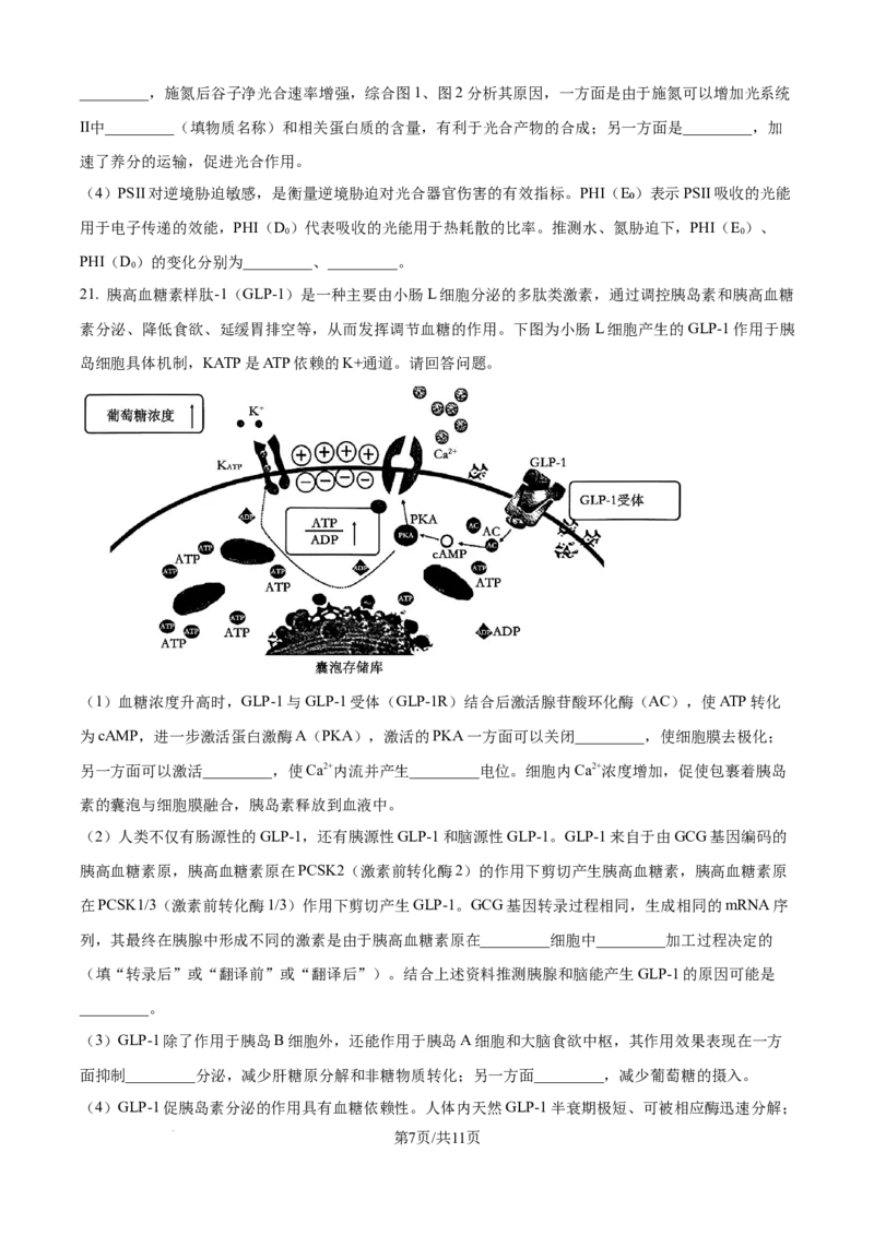 精品解析：2026届江苏省南京市六合区名校联盟高三一模生物试题（原卷版）_2024-2026高三（6-6月题库）_2026年03月高三试卷_2603042026届江苏南京市六合区名校联盟高三下学期一模试题