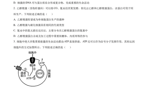 精品解析：2026届江苏省南京市六合区名校联盟高三一模生物试题（原卷版）_2024-2026高三（6-6月题库）_2026年03月高三试卷_2603042026届江苏南京市六合区名校联盟高三下学期一模试题