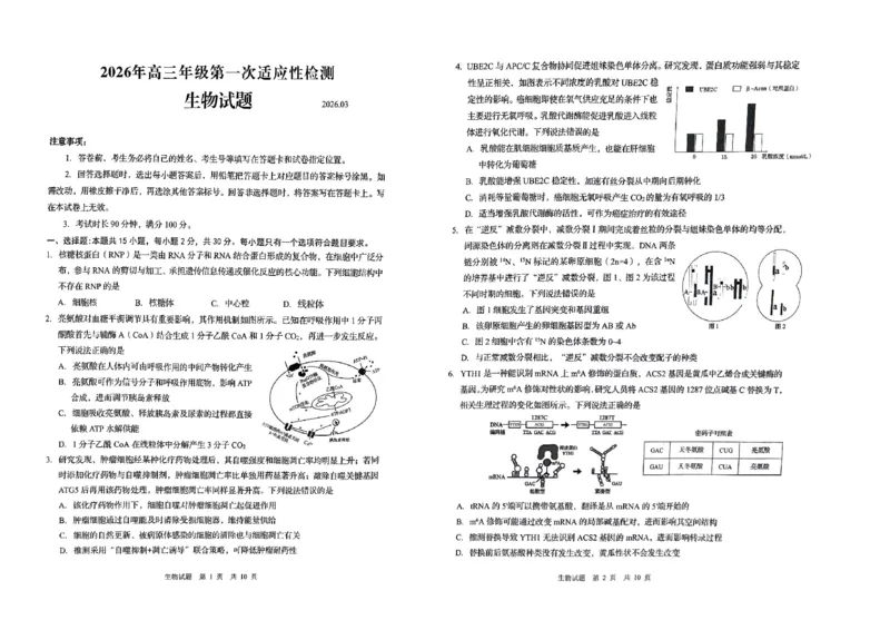 26青岛一模-生物试题_2024-2026高三（6-6月题库）_2026年03月高三试卷_260319山东省青岛市2026届高三第一次模拟考试（全科）_2026届山东青岛市高三一模适应性检测生物试题（含答案）