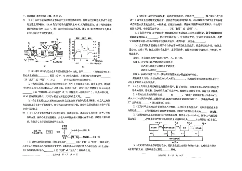 26青岛一模-生物试题_2024-2026高三（6-6月题库）_2026年03月高三试卷_260319山东省青岛市2026届高三第一次模拟考试（全科）_2026届山东青岛市高三一模适应性检测生物试题（含答案）
