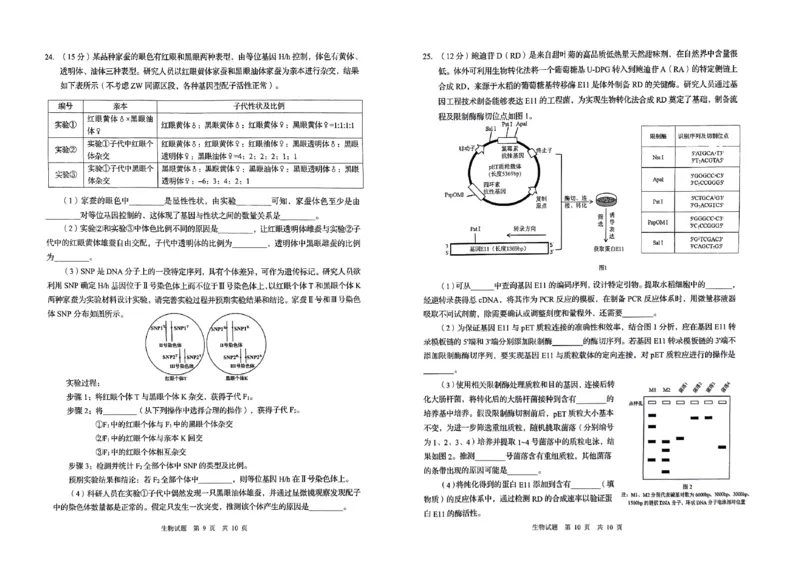 26青岛一模-生物试题_2024-2026高三（6-6月题库）_2026年03月高三试卷_260319山东省青岛市2026届高三第一次模拟考试（全科）_2026届山东青岛市高三一模适应性检测生物试题（含答案）