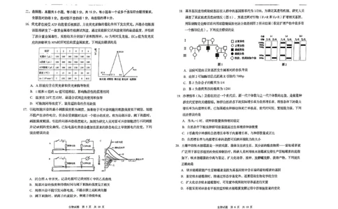 26青岛一模-生物试题_2024-2026高三（6-6月题库）_2026年03月高三试卷_260319山东省青岛市2026届高三第一次模拟考试（全科）_2026届山东青岛市高三一模适应性检测生物试题（含答案）
