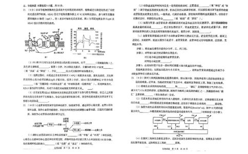 26青岛一模-生物试题_2024-2026高三（6-6月题库）_2026年03月高三试卷_260319山东省青岛市2026届高三第一次模拟考试（全科）_2026届山东青岛市高三一模适应性检测生物试题（含答案）