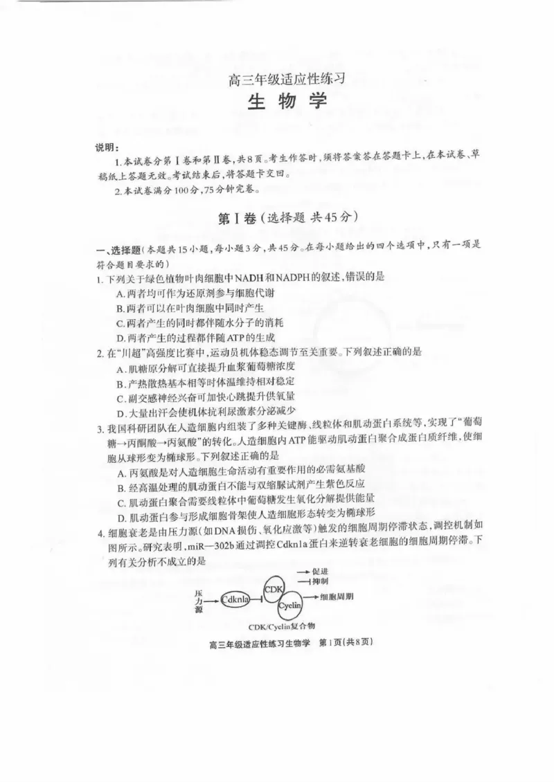 德阳市2026届高三年级适应性练习生物_2024-2026高三（6-6月题库）_2026年04月高三试卷_260425四川省德阳市2026届高三年级适应性练习（德阳三诊）（全科）