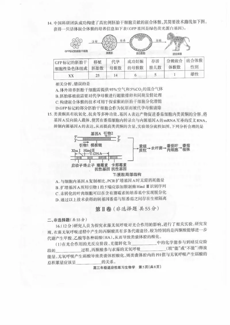 德阳市2026届高三年级适应性练习生物_2024-2026高三（6-6月题库）_2026年04月高三试卷_260425四川省德阳市2026届高三年级适应性练习（德阳三诊）（全科）