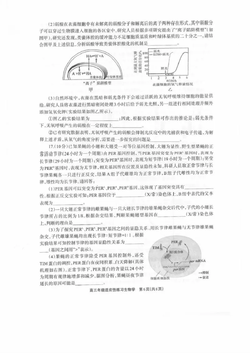 德阳市2026届高三年级适应性练习生物_2024-2026高三（6-6月题库）_2026年04月高三试卷_260425四川省德阳市2026届高三年级适应性练习（德阳三诊）（全科）
