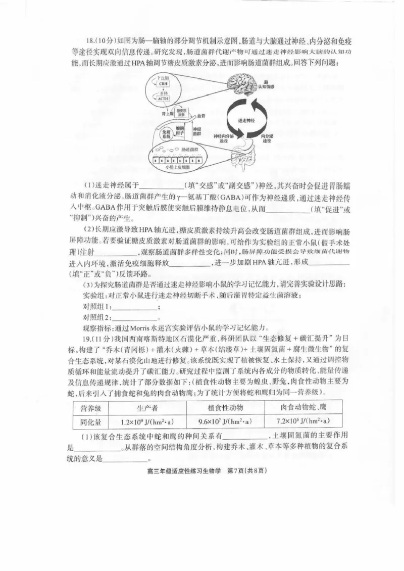 德阳市2026届高三年级适应性练习生物_2024-2026高三（6-6月题库）_2026年04月高三试卷_260425四川省德阳市2026届高三年级适应性练习（德阳三诊）（全科）