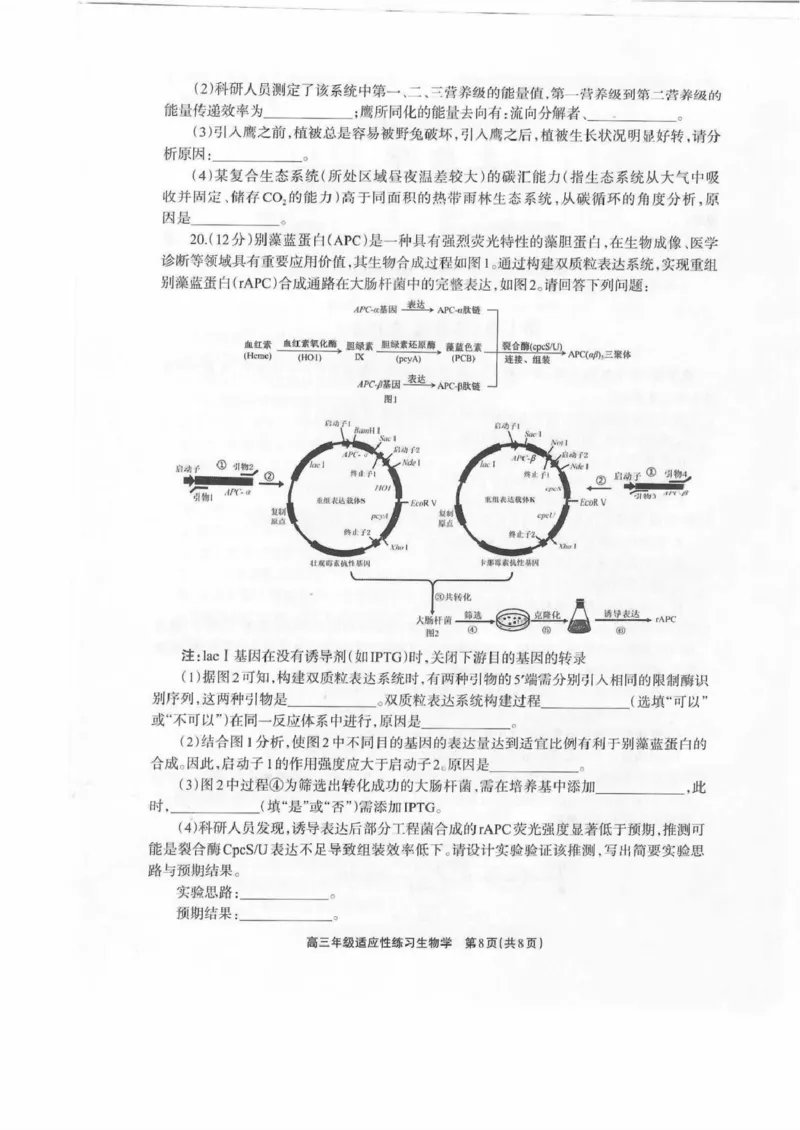 德阳市2026届高三年级适应性练习生物_2024-2026高三（6-6月题库）_2026年04月高三试卷_260425四川省德阳市2026届高三年级适应性练习（德阳三诊）（全科）