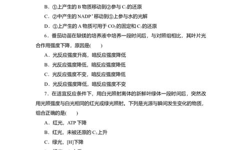 夯基提能练9光合作用-备战2023高考生物一轮复习夯基提能练（全国通用）（解析版）_通用版（老高考）复习资料_2023年复习资料_一轮复习
