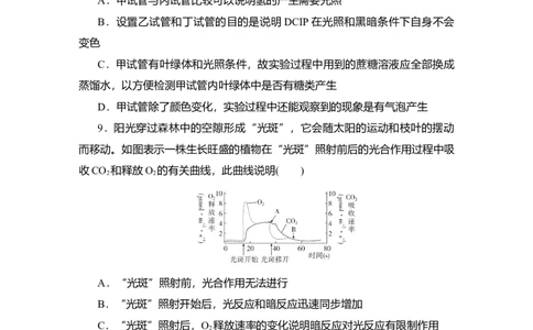 夯基提能练9光合作用-备战2023高考生物一轮复习夯基提能练（全国通用）（解析版）_通用版（老高考）复习资料_2023年复习资料_一轮复习