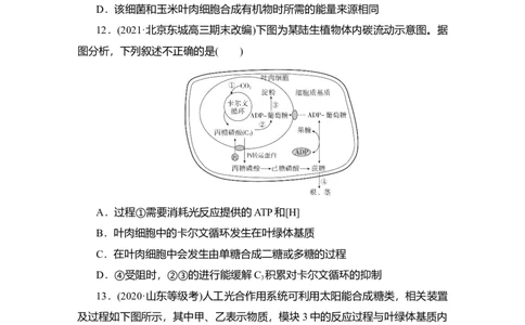 夯基提能练9光合作用-备战2023高考生物一轮复习夯基提能练（全国通用）（解析版）_通用版（老高考）复习资料_2023年复习资料_一轮复习