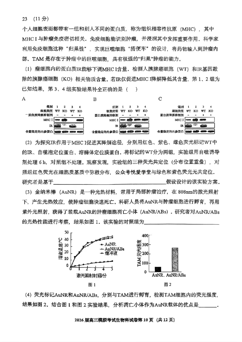 生物-2026届高三吉林五校联考(长春11高四平一中等)_2024-2026高三（6-6月题库）_2026年03月高三试卷_260317吉林五校联考(长春11高、四平一中等)2026届高三模拟考试