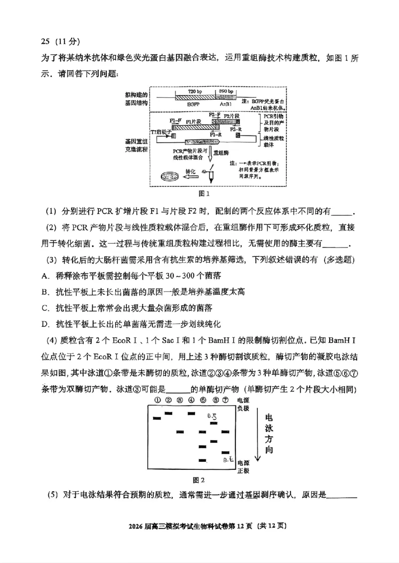 生物-2026届高三吉林五校联考(长春11高四平一中等)_2024-2026高三（6-6月题库）_2026年03月高三试卷_260317吉林五校联考(长春11高、四平一中等)2026届高三模拟考试