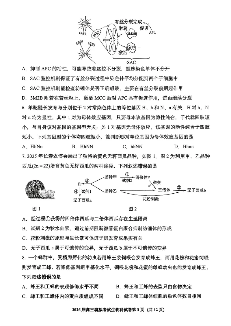 生物-2026届高三吉林五校联考(长春11高四平一中等)_2024-2026高三（6-6月题库）_2026年03月高三试卷_260317吉林五校联考(长春11高、四平一中等)2026届高三模拟考试