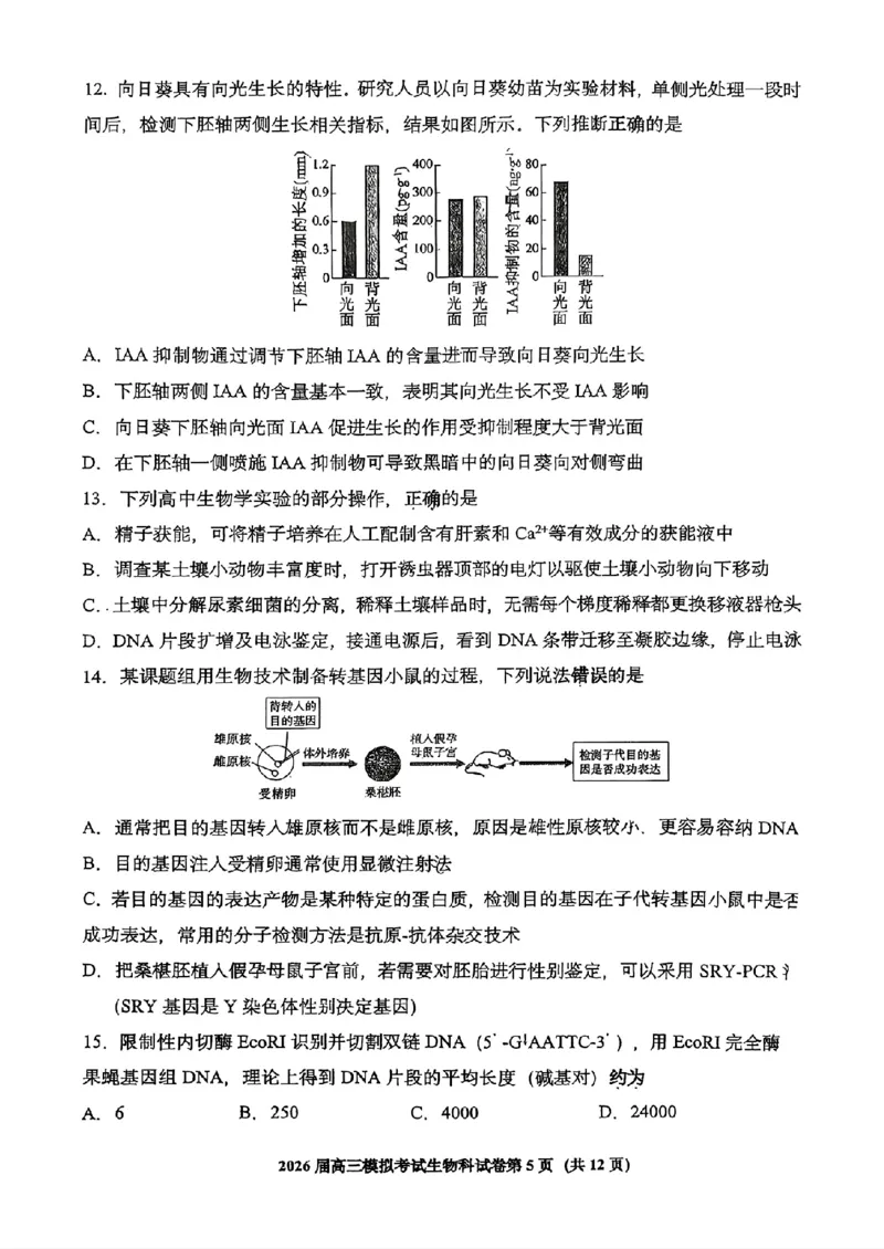 生物-2026届高三吉林五校联考(长春11高四平一中等)_2024-2026高三（6-6月题库）_2026年03月高三试卷_260317吉林五校联考(长春11高、四平一中等)2026届高三模拟考试