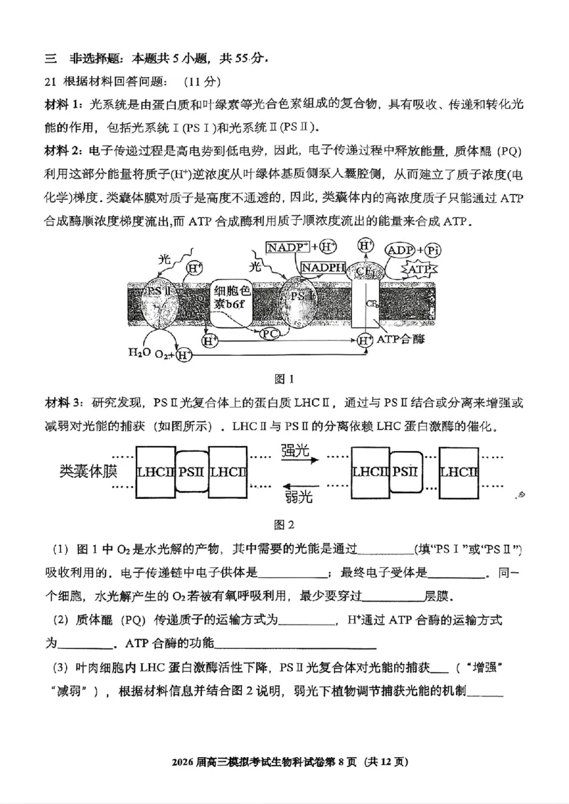 生物-2026届高三吉林五校联考(长春11高四平一中等)_2024-2026高三（6-6月题库）_2026年03月高三试卷_260317吉林五校联考(长春11高、四平一中等)2026届高三模拟考试