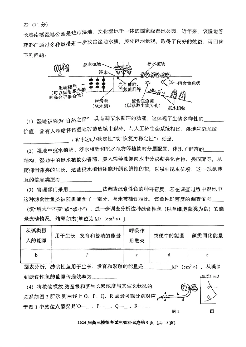 生物-2026届高三吉林五校联考(长春11高四平一中等)_2024-2026高三（6-6月题库）_2026年03月高三试卷_260317吉林五校联考(长春11高、四平一中等)2026届高三模拟考试