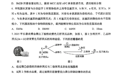 生物-2026届高三吉林五校联考(长春11高四平一中等)_2024-2026高三（6-6月题库）_2026年03月高三试卷_260317吉林五校联考(长春11高、四平一中等)2026届高三模拟考试