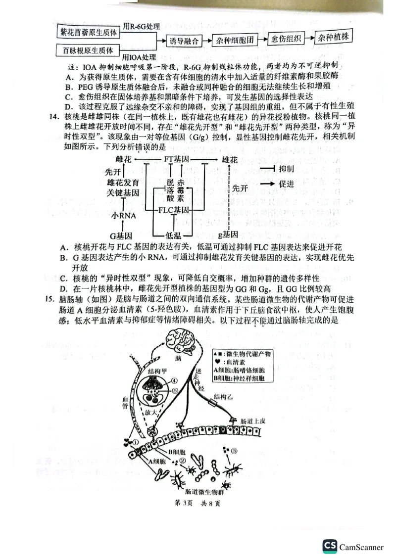 广东韶关市2026届高三下学期二模生物试卷_2024-2026高三（6-6月题库）_2026年04月高三试卷_260419广东省惠州市、韶关市2026届高三下学期4月模拟考试（全科）_生物