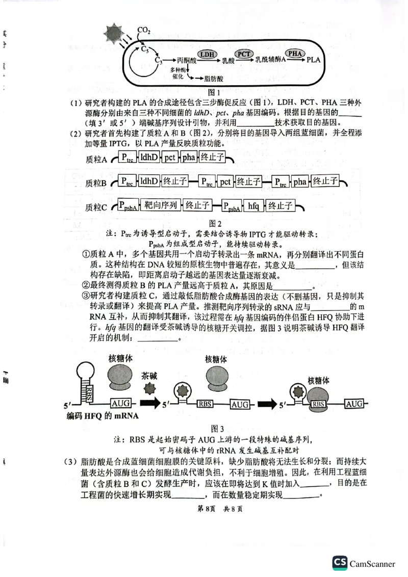 广东韶关市2026届高三下学期二模生物试卷_2024-2026高三（6-6月题库）_2026年04月高三试卷_260419广东省惠州市、韶关市2026届高三下学期4月模拟考试（全科）_生物