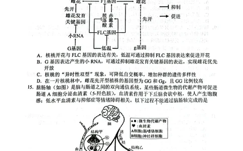 广东韶关市2026届高三下学期二模生物试卷_2024-2026高三（6-6月题库）_2026年04月高三试卷_260419广东省惠州市、韶关市2026届高三下学期4月模拟考试（全科）_生物