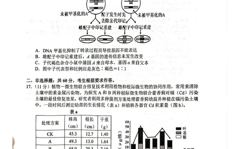 广东韶关市2026届高三下学期二模生物试卷_2024-2026高三（6-6月题库）_2026年04月高三试卷_260419广东省惠州市、韶关市2026届高三下学期4月模拟考试（全科）_生物